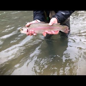 Meet your Posher, Ryan